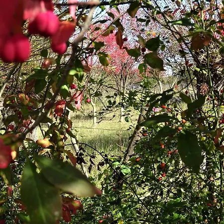 Seeblick Travemünde * Lübeck