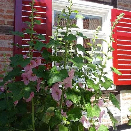 Appartamento Seeblick Travemuende Lubecca