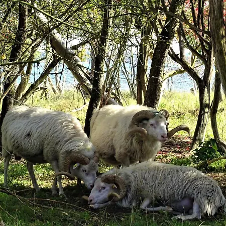 Apartment Seeblick Travemünde *