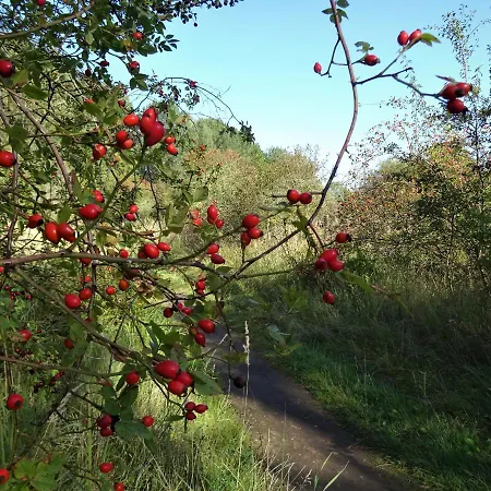 Seeblick Travemünde